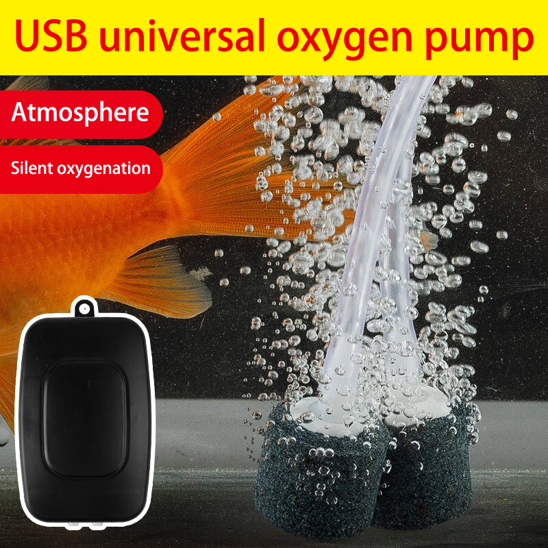 Fishing Equipment For Beginners - ミニ水族館エアポンプキット,USB,水槽フィルター,空気石,アクセサリー