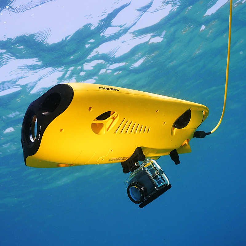 アルヴァージュ 救助装備 水泳可能 ダイビングギア アクセサ - Fishing Equipment のレビューと価格